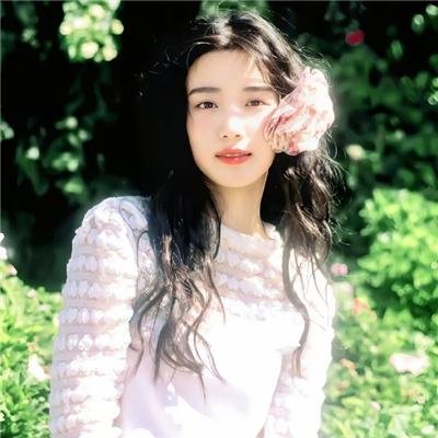 大象与小蝶物语
